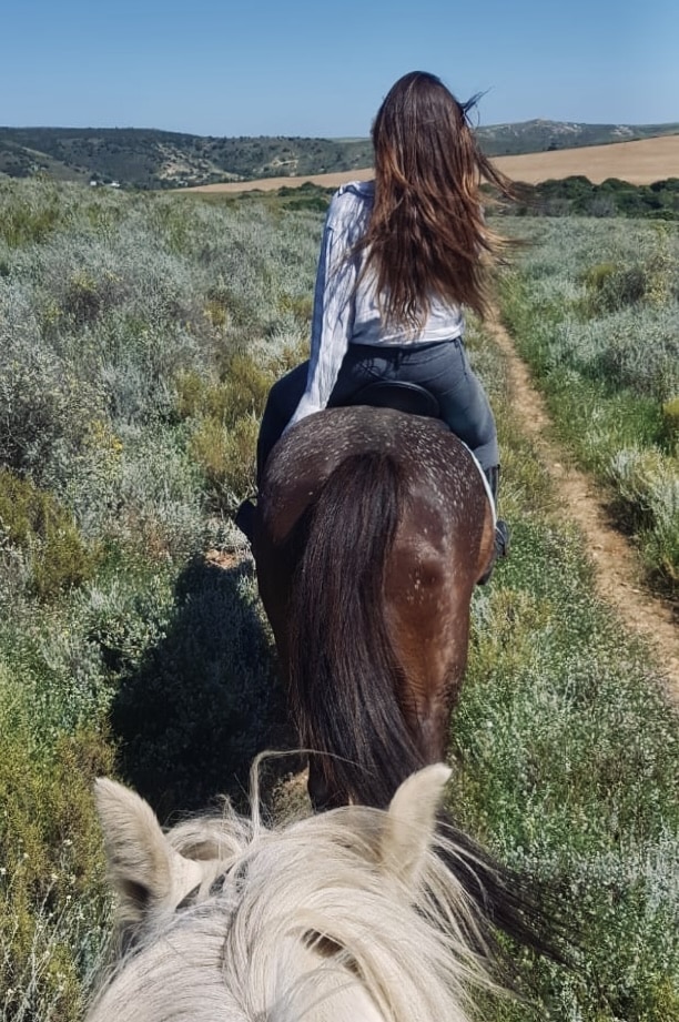 Horseriding Horseriding