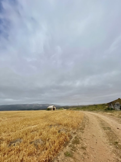 Inhoek Farm – Farm House 11