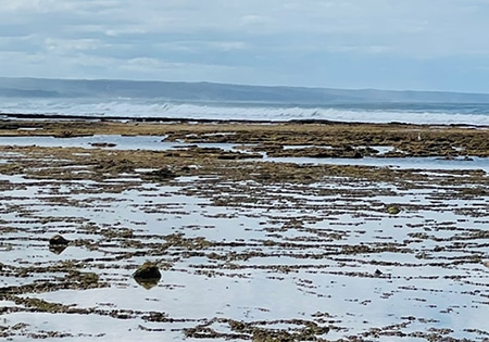 Witsand